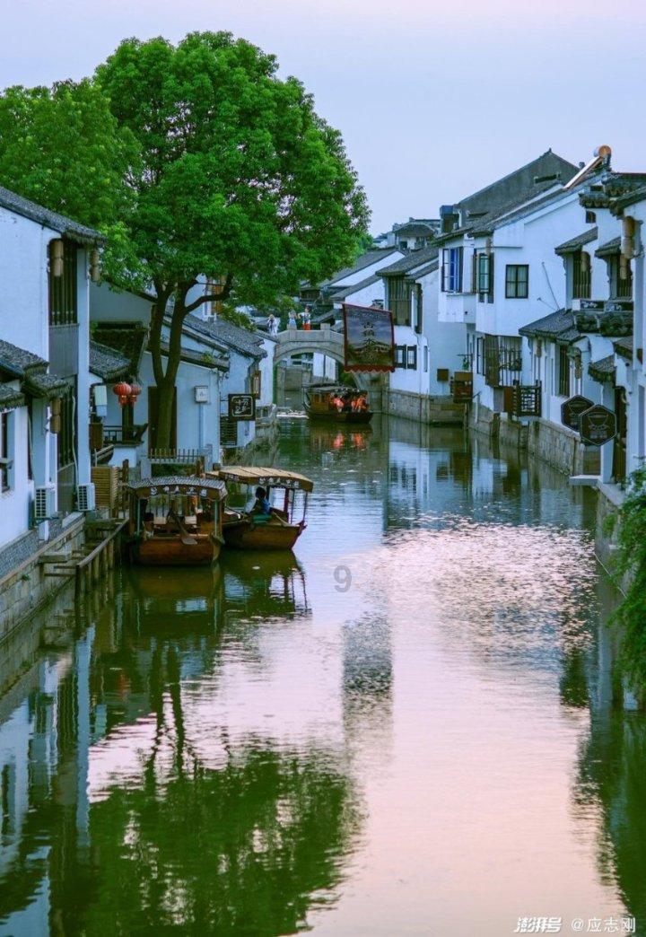 国家统计局：1月中旬生猪价格较上旬下降1.4%