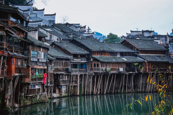 饥饿的哈利